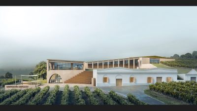 Feilden+Mawson wins contest for Czech winery