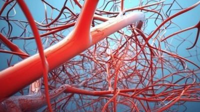 Californian Researchers 3D Print functioning blood vessels